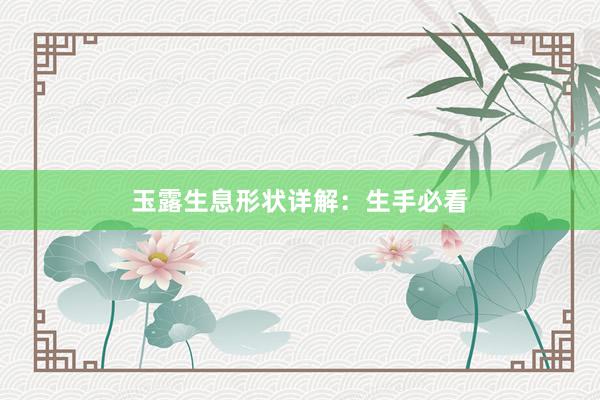 玉露生息形状详解：生手必看