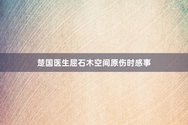 楚国医生屈石木空间原伤时感事